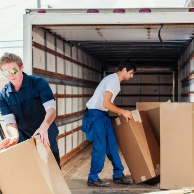 Actividades basicas de logistica de almacen